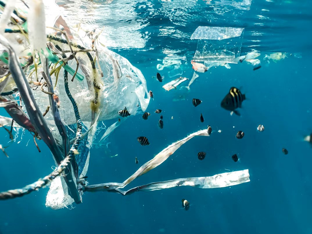 污染加劇 研究：海洋塑膠量2040年前恐增近3倍