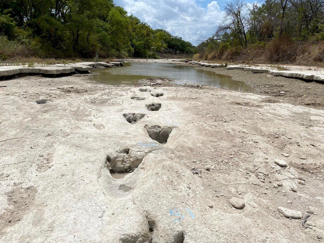 德州大旱 乾涸河床現1.13億年前恐龍足跡