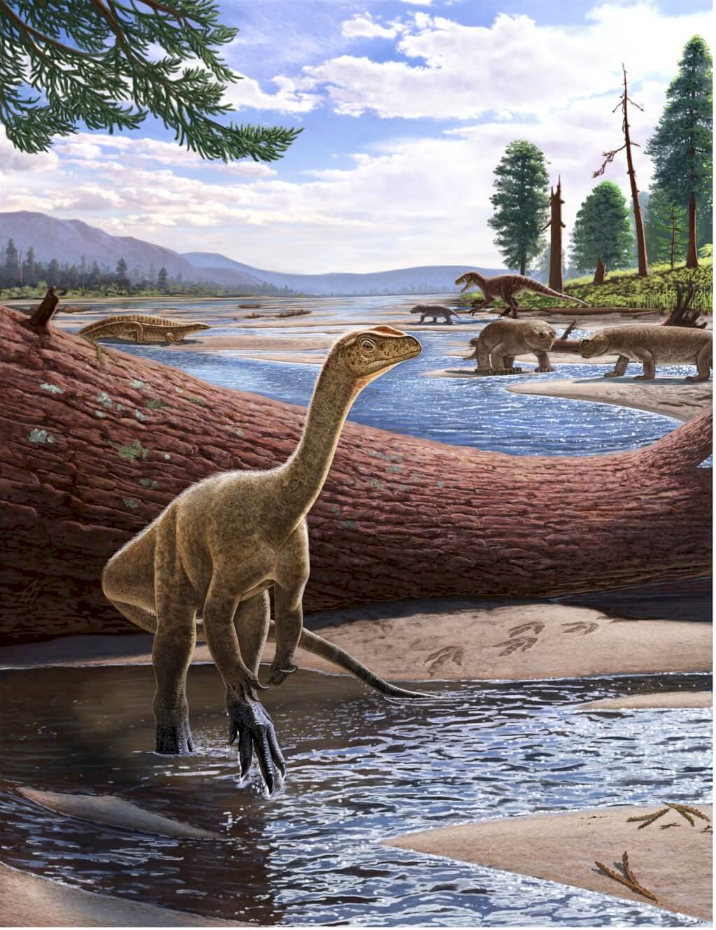 科學家發現非洲最古老恐龍 可能是雷龍遠祖