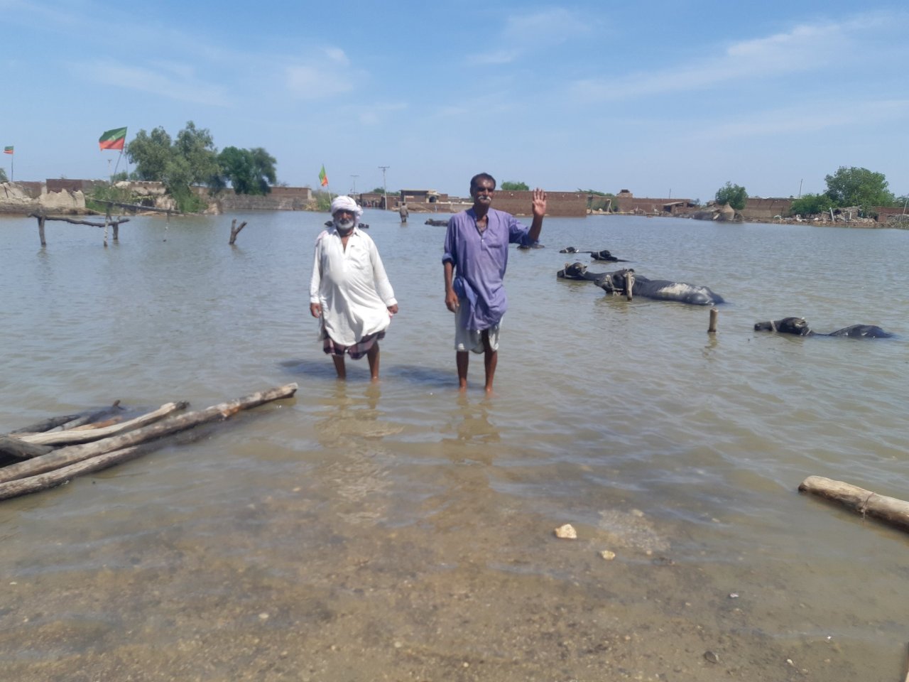 巴基斯坦水災農損嚴重 農民無助盼真主垂救