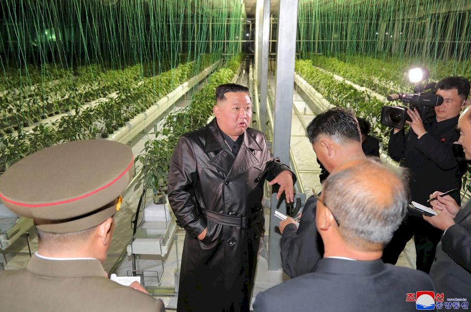北韓吹捧農業現代化 試射基地改造溫室農場