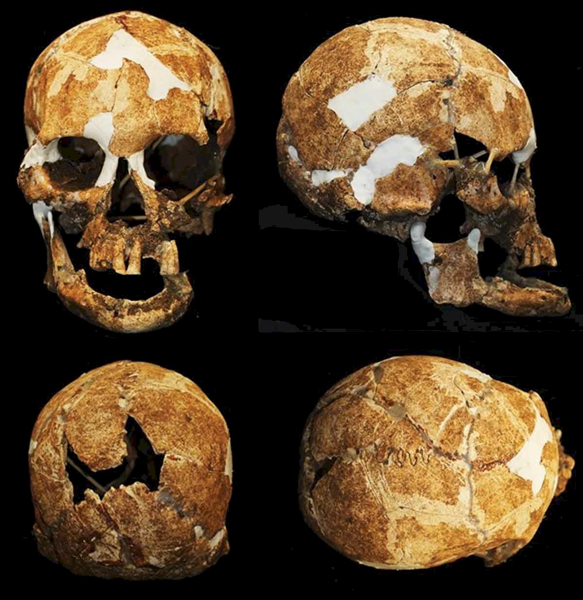 台東黑矮人可能真存在 6千年前骨骸給答案
