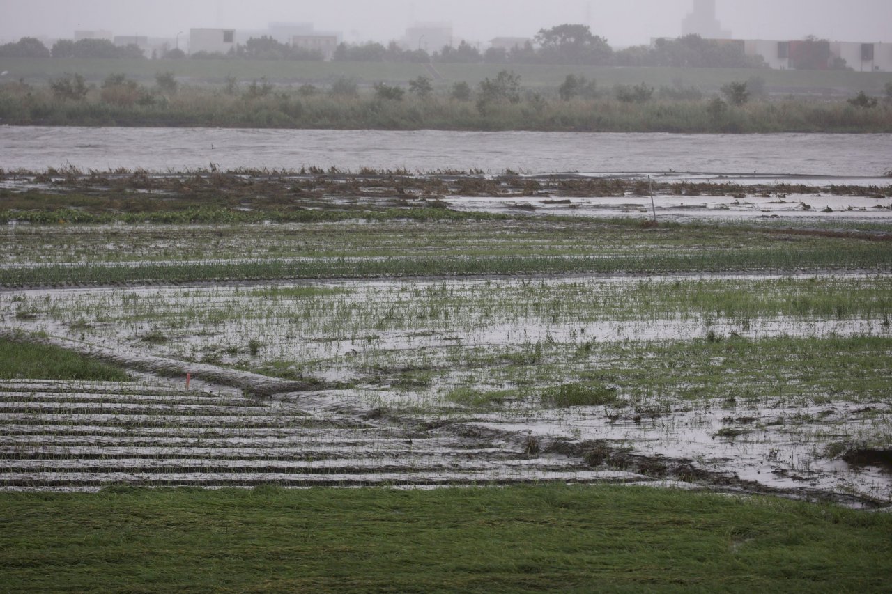 颱風尼莎致農損逾千萬 宜蘭772萬最多