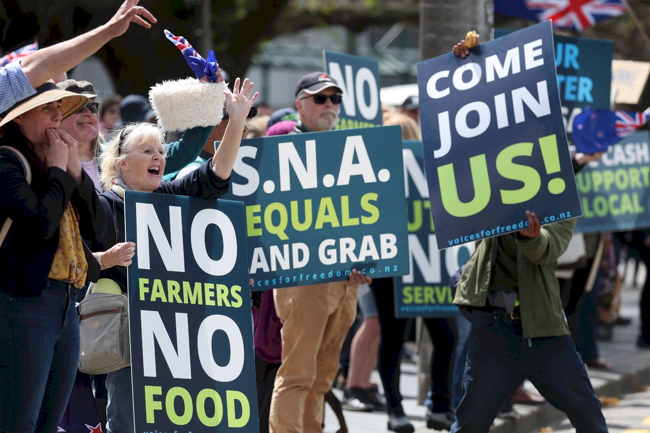 紐西蘭擬開徵牛羊排氣稅 全國業者發動示威抗議
