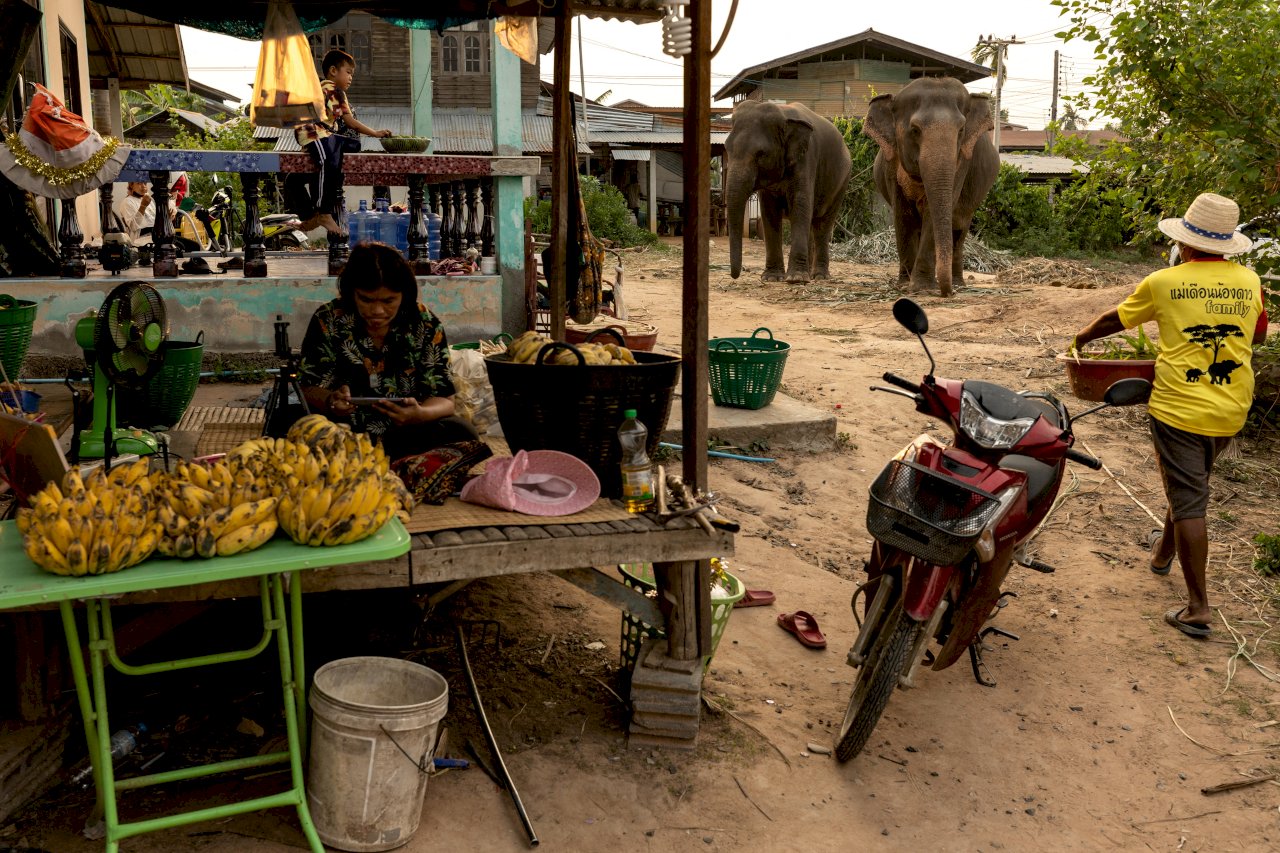 世銀：疫情影響泰國鄉村窮人 學習科技應對新局勢