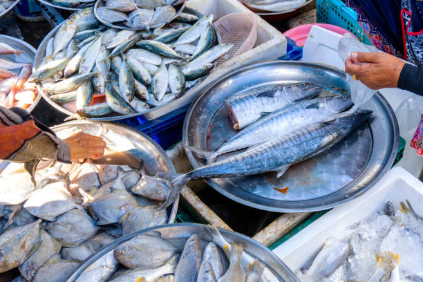 美國最新研究 吃1隻魚等同喝了1個月的有毒汙水