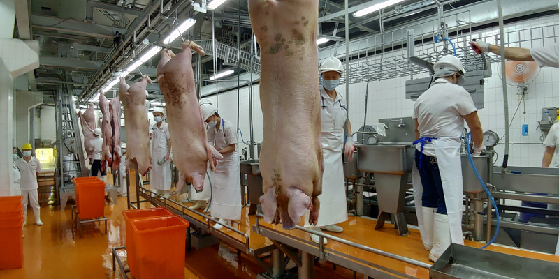成功叩關 防檢局：台灣生鮮豬肉獲菲國同意輸銷