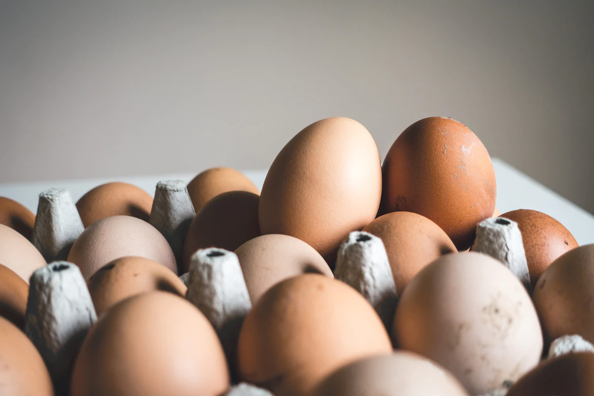 短期數度漲跌 雞蛋17日起批發價每台斤49元