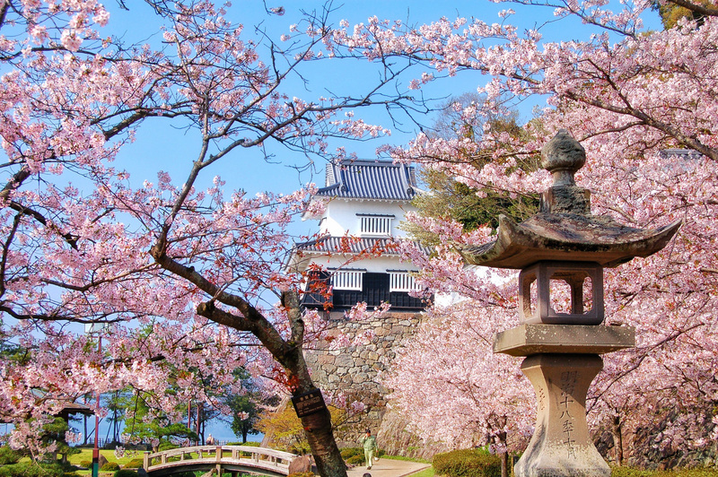 觀光客回流 日本首季經濟成長優於預期