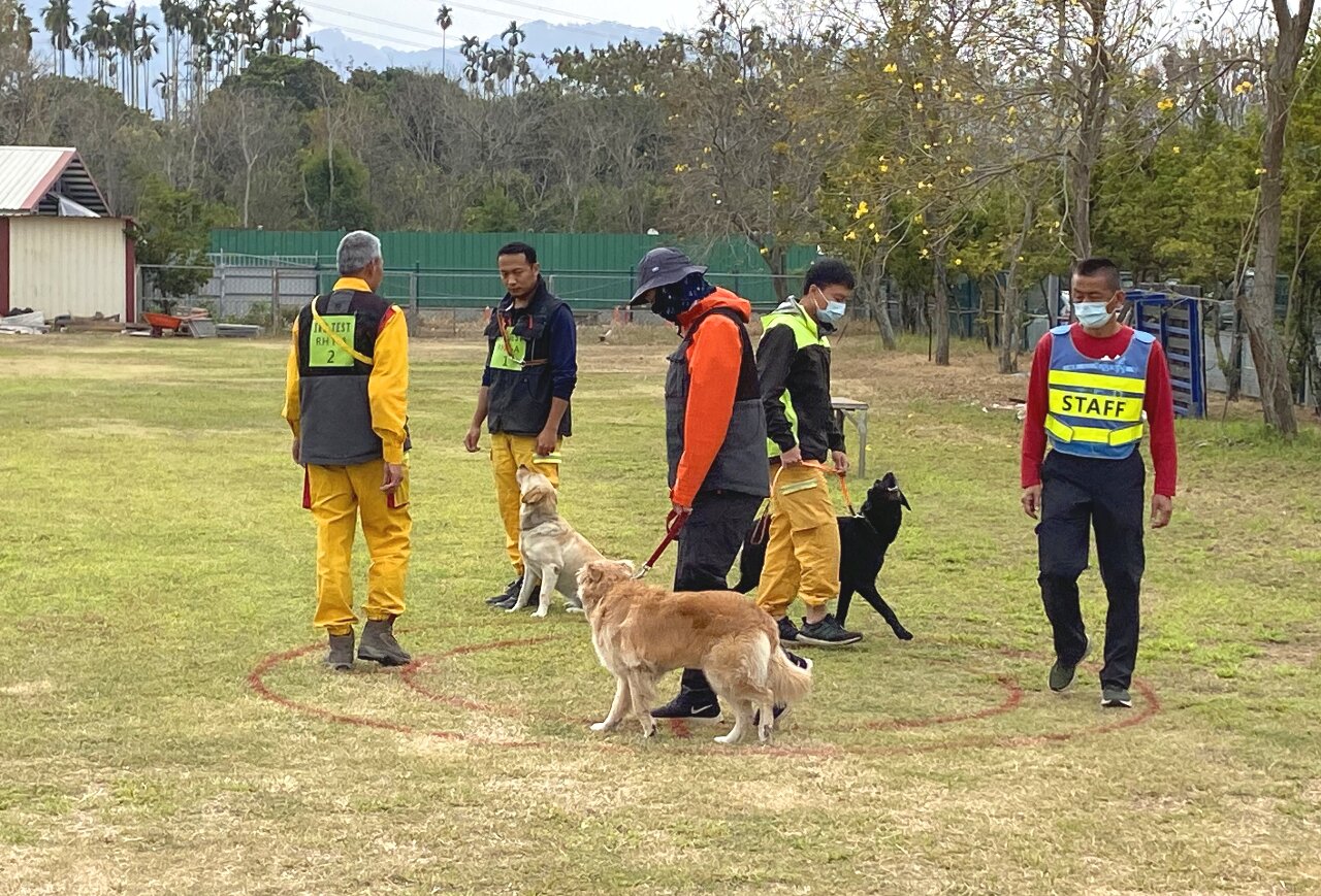 全國災害搜救犬IRO檢測今登場 44隻狗狗報名