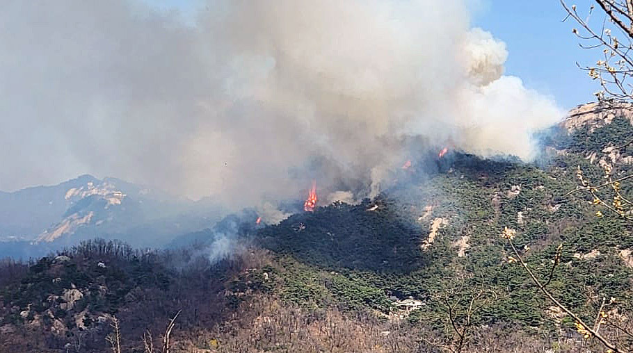 首爾仁王山大火延燒3小時 撤離120戶