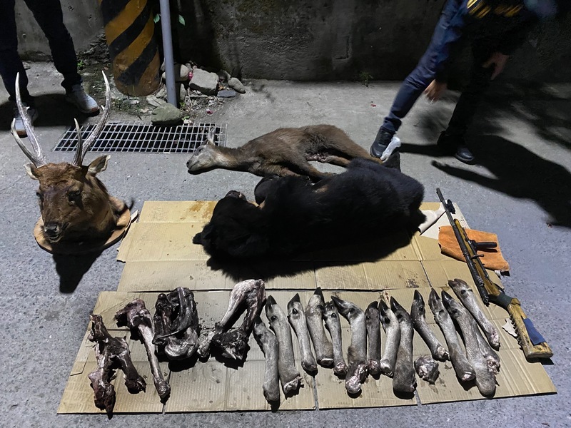 3年獵殺4隻台灣黑熊  屏檢偵結起訴9人