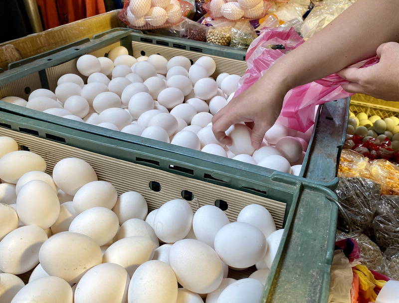 鄭文燦：禽流感致全球雞蛋短缺 應從防災面儲備因應