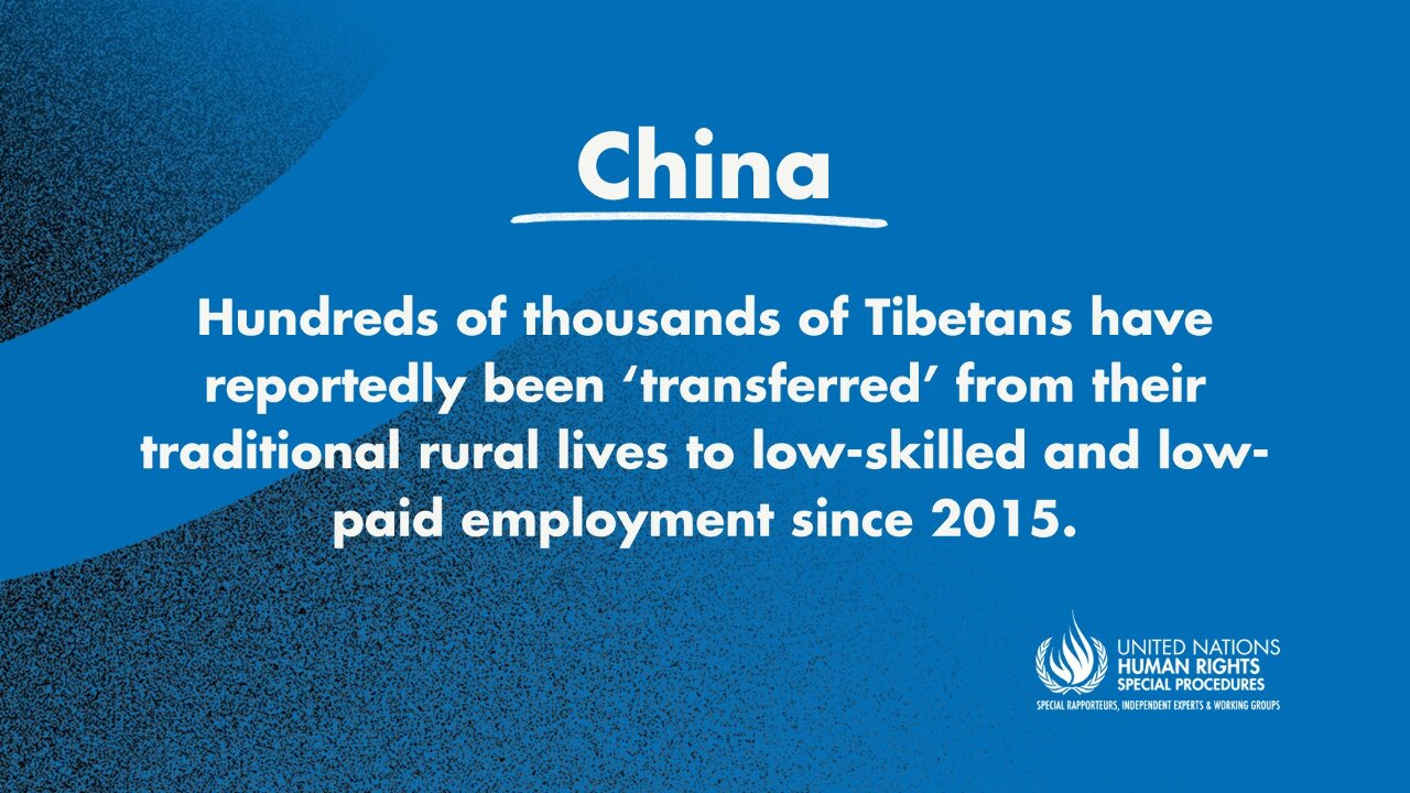聯合國專家指控中國 強迫西藏人「職業培訓」