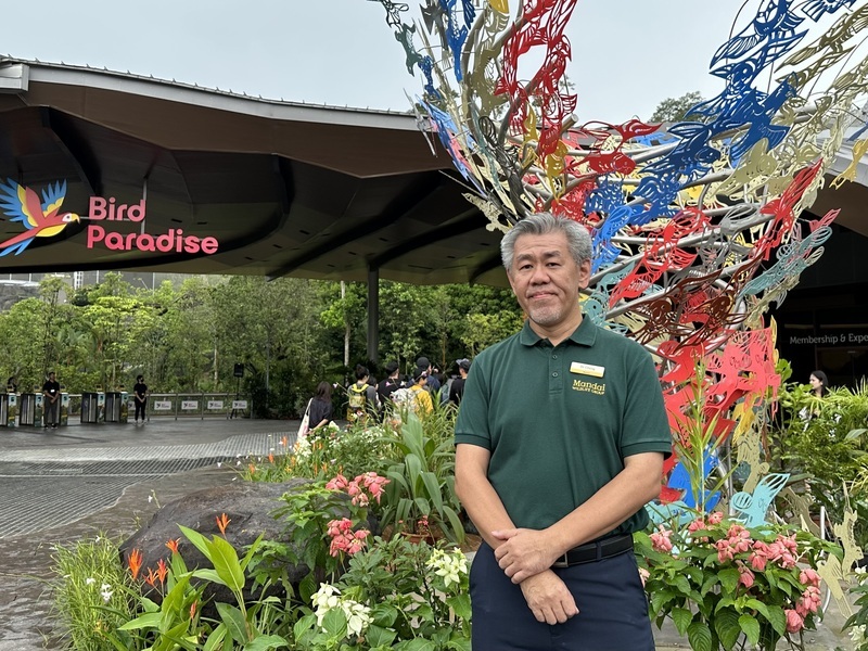 新加坡全新飛禽公園亮相 主打8大展示區及企鵝館