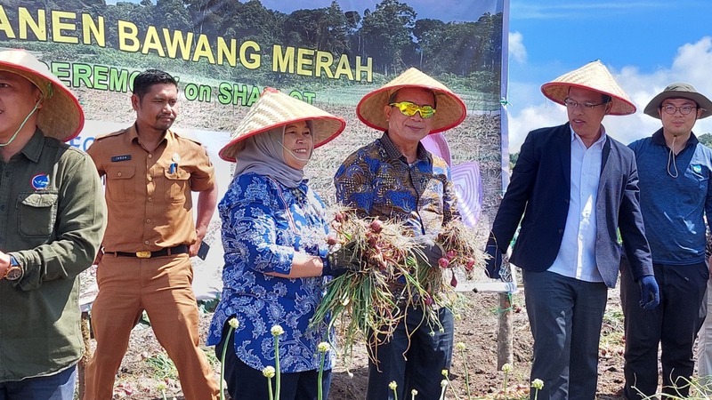 台灣技術團輔導印尼農民種紅蔥 受肯定