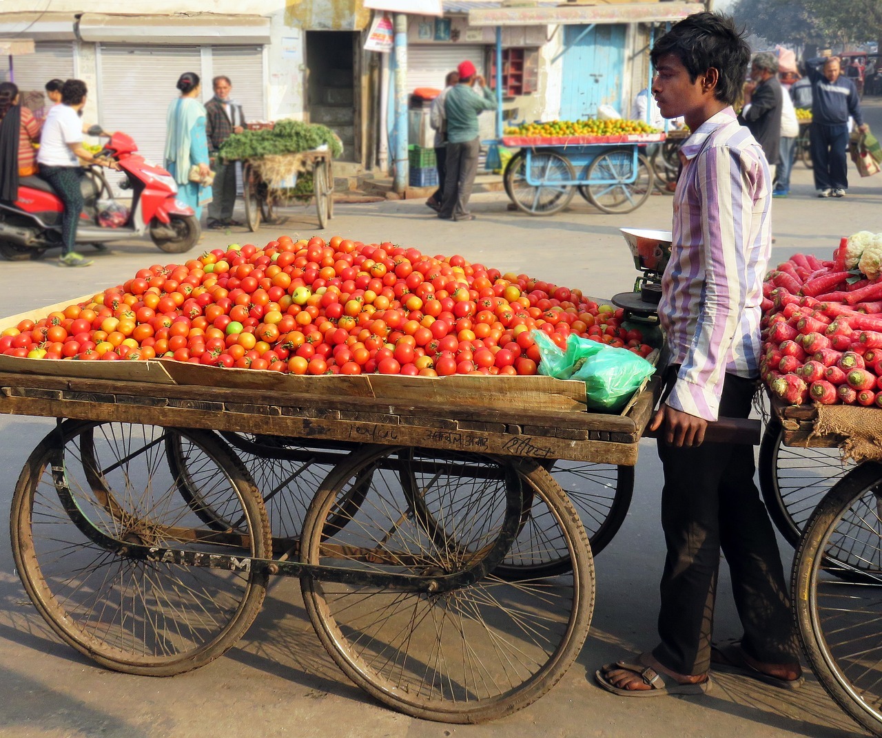 暴雨過後價格飆漲 印度出現「番茄之亂」