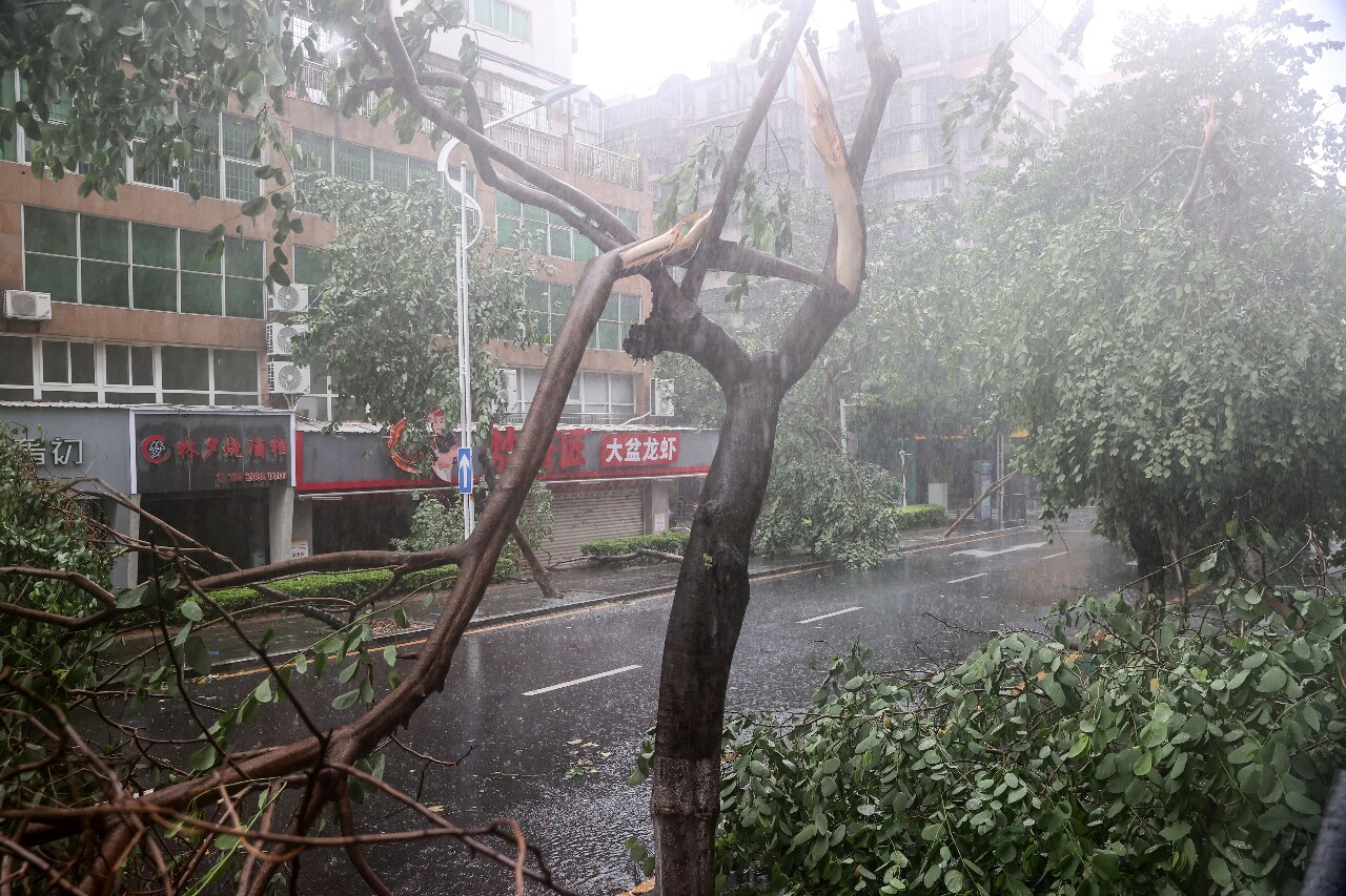 杜蘇芮颱風重創福建 72萬人撤離災損2.2億元