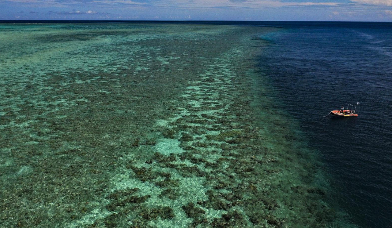 澳洲科學家示警：聖嬰現象可能威脅大堡礁