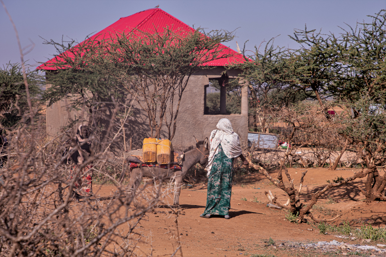 國際移民組織：衣索比亞逾400萬人國內流離失所