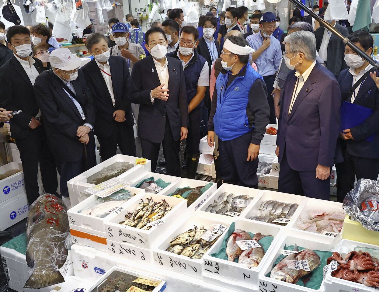 因應中國海鮮禁令 日相岸田承諾採取措施幫助漁業