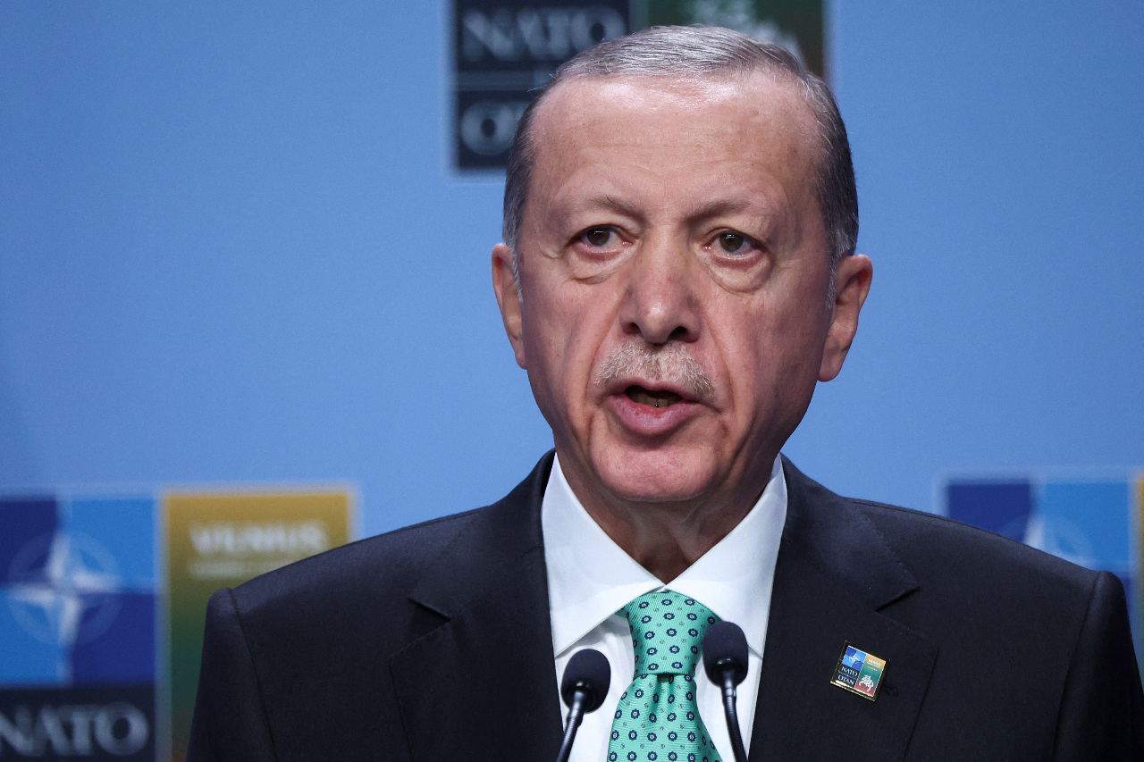 土耳其入歐努力停滯 艾爾段：歐盟「疏遠」安卡拉