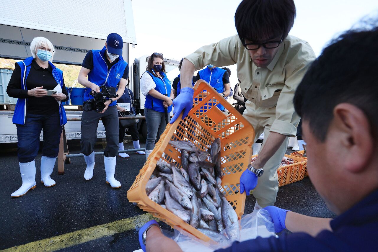 驗證日本核處理水排放 聯合國專家採集魚市場樣本