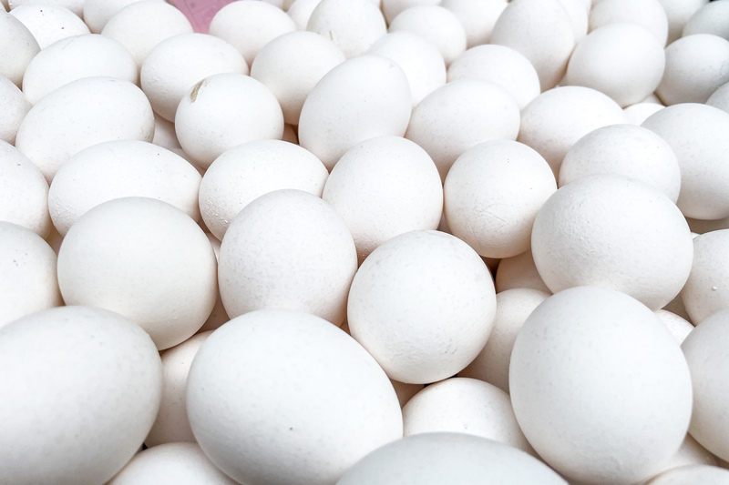 國產雞蛋產量恢復 14日起暫停專案進口穩定產銷