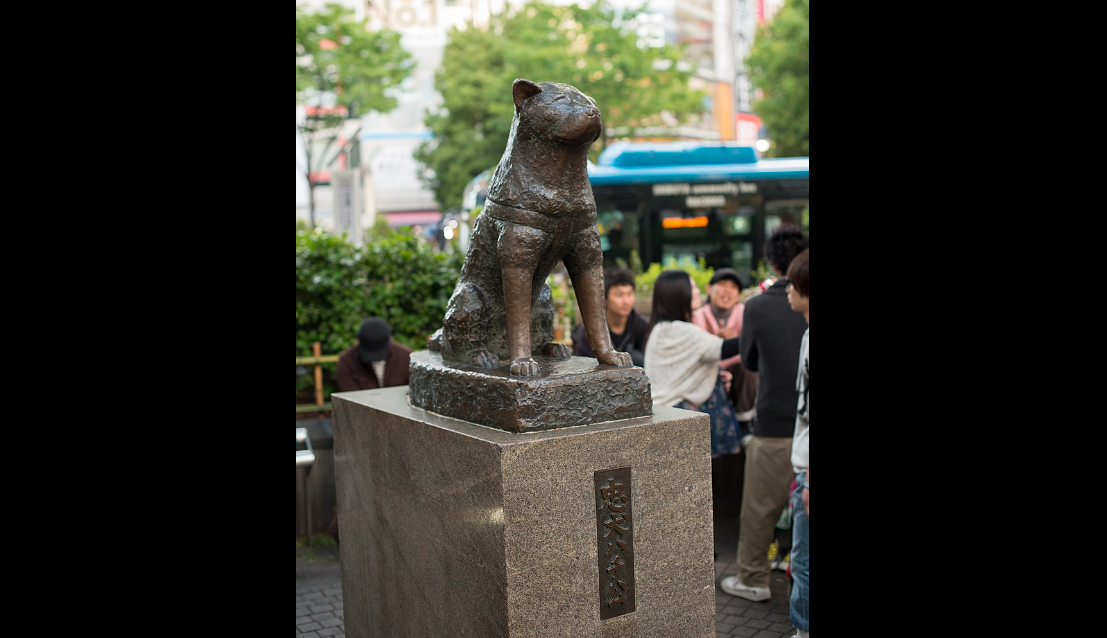 日本忠犬八公百歲冥誕 生前就有銅像人氣至今歷久不衰