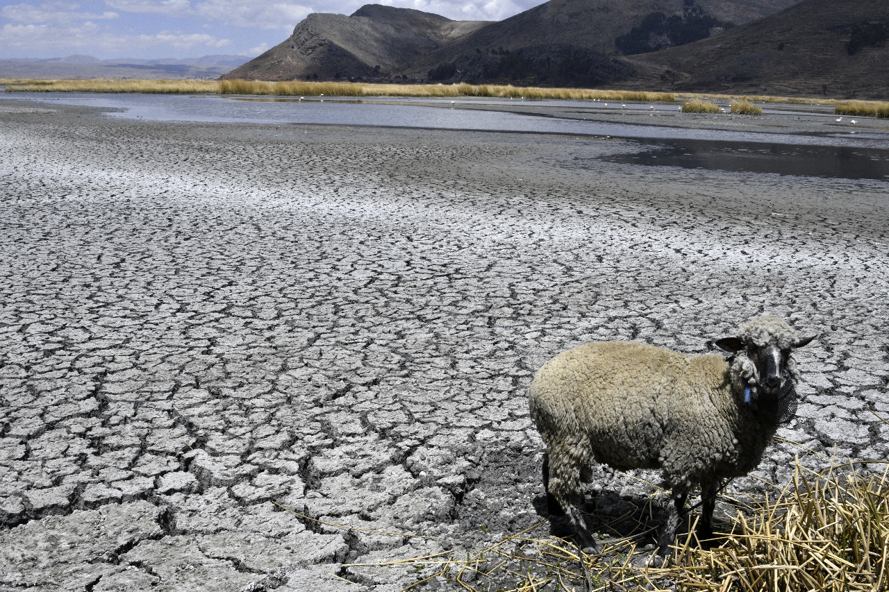的的喀喀湖水位接近歷史新低 聖嬰現象影響加劇