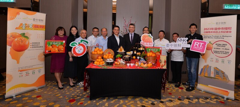 大馬媒體盛讚台灣椪柑 品種口感和中國不同