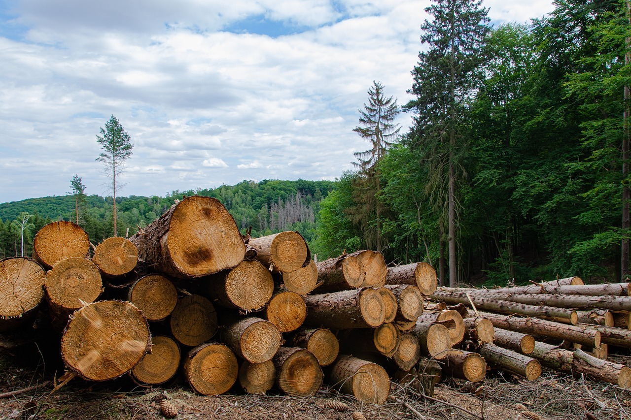 中資大舉投資印尼鎳加工產業 加劇森林砍伐