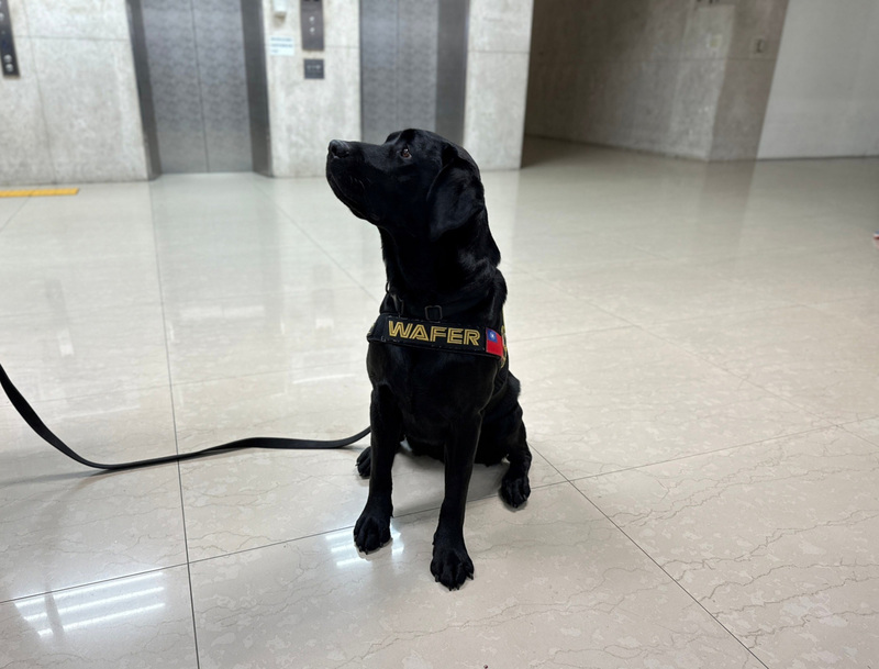 首隻電子產品偵測犬Wafer亮相  台美合作打擊數位犯罪