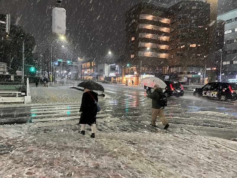 東京大雪警報各地積雪 降雪隔天學企鵝走路更安全