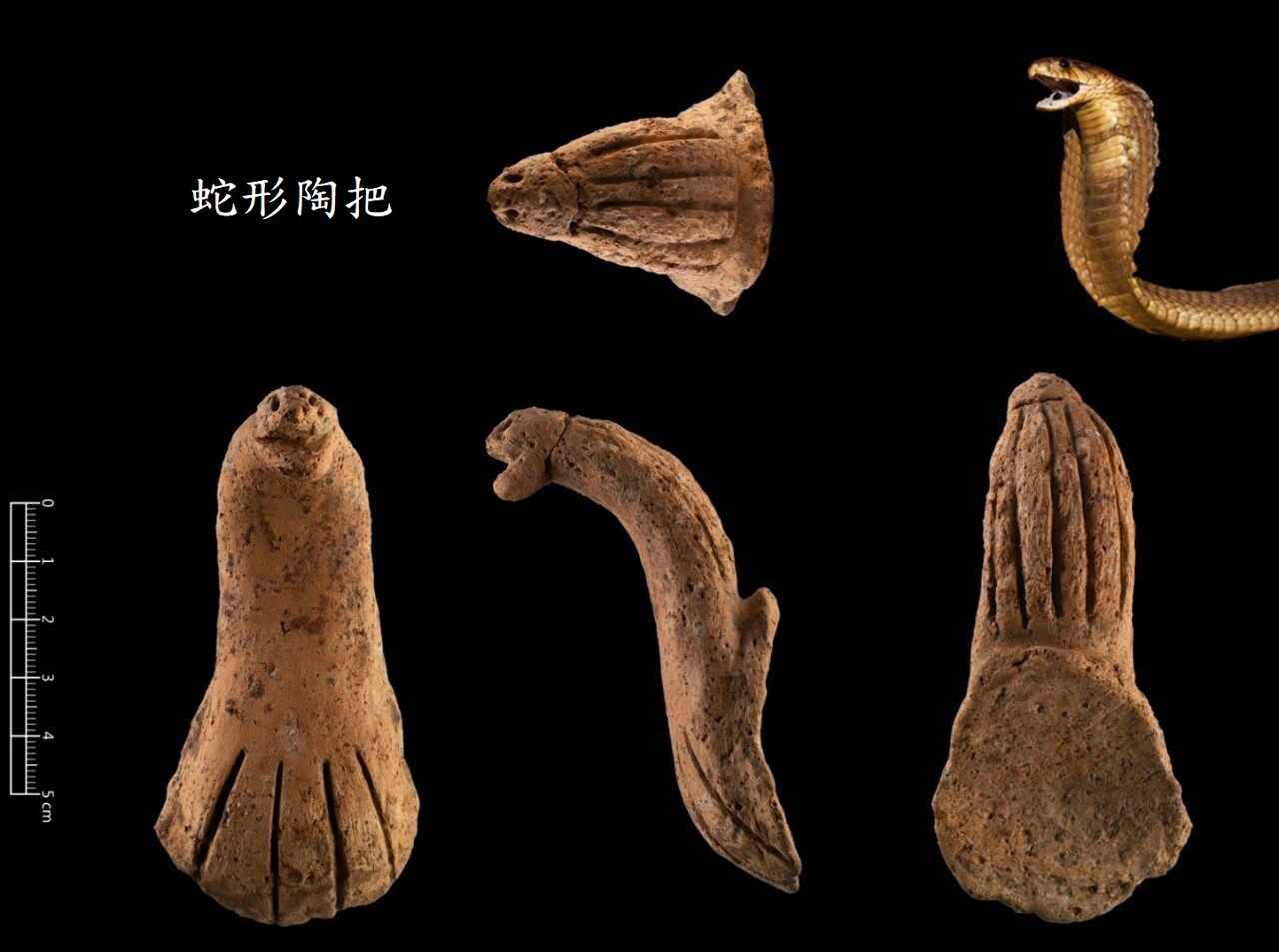 清大考古發現蛇形陶把  推估距今4千年前