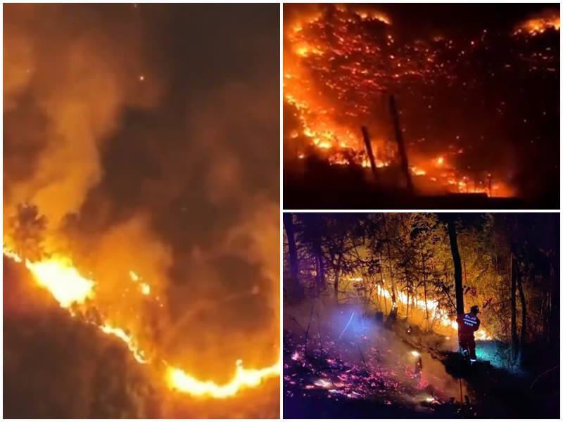 一度冷處理 中國官方宣布督辦貴州森林大火