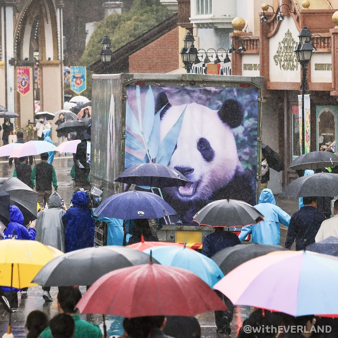 首隻南韓出生大貓熊「福寶」返中 民眾雨中含淚送別