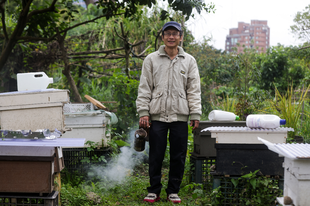 台灣生態甜蜜課程 外媒專訪城市養蜂人蔡明憲