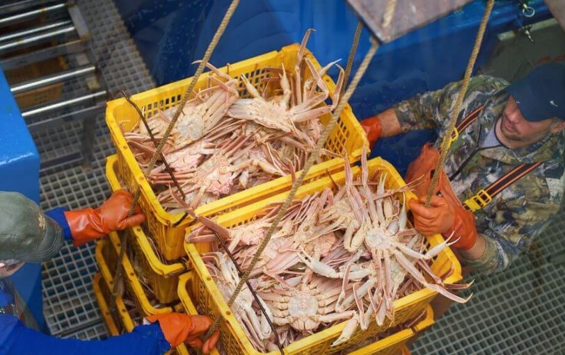 禁日本水產之後換「俄羅斯螃蟹」橫渡中國市場