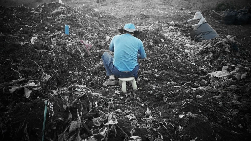 當土壤不再健康！紀錄片《種土》帶來省思…同場加映黑道片《角頭》、恐怖片《嘎啦》