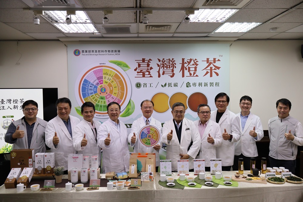 台灣製茶技術新篇章  橙茶