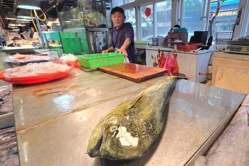 讓吃魚像去歐洲旅行！關稅政策下，台灣魚產該有創新思維…